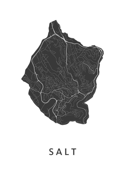 Salt Kaart Poster
