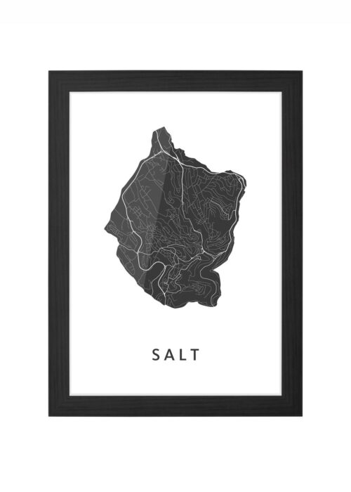Salt Ingelijst in Zwart lijst Kopen | Kunst in Kaart