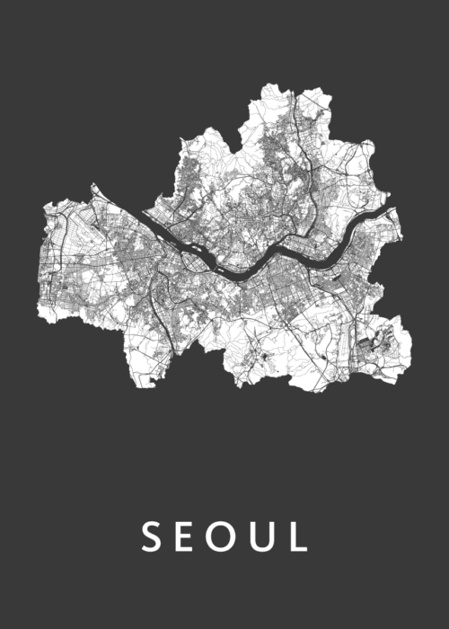 Seoul Stadskaart - Black