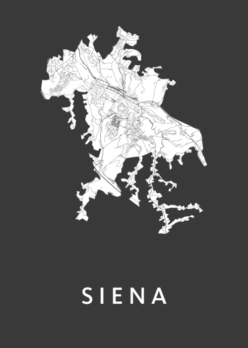 Siena Stadskaart poster Black