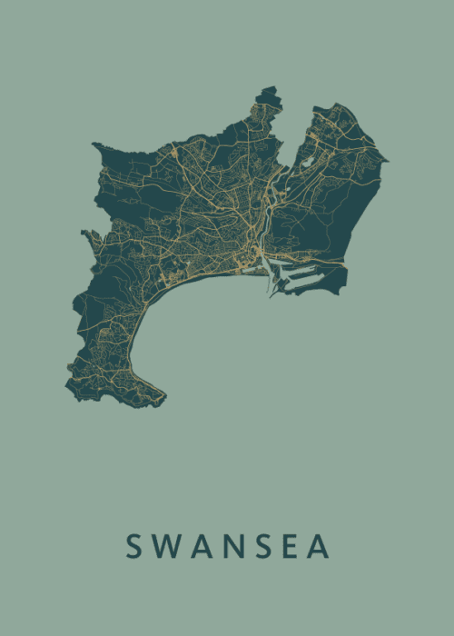 Swansea Amazon Stadskaart Poster Kopen