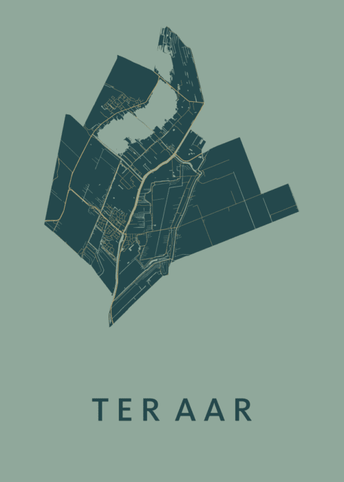 Ter Aar Amazon Stadskaart Poster Kopen