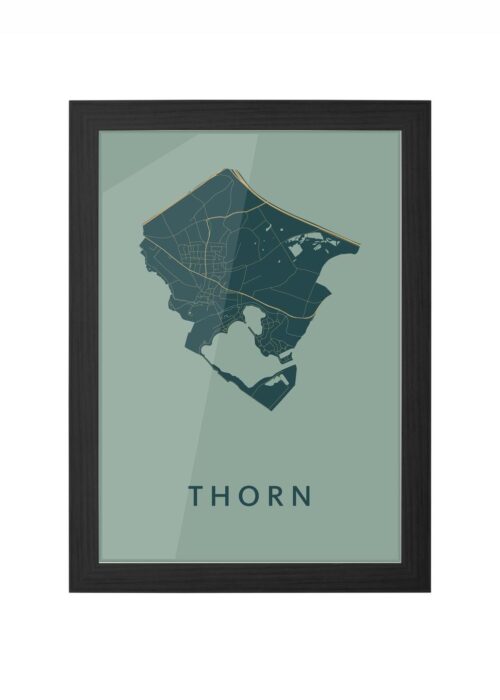 Thorn Amazon Ingelijst in Zwart lijst Kopen | Kunst in Kaart