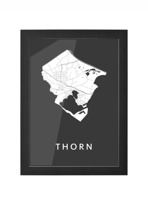Thorn Black Ingelijst in Zwart lijst Kopen | Kunst in Kaart