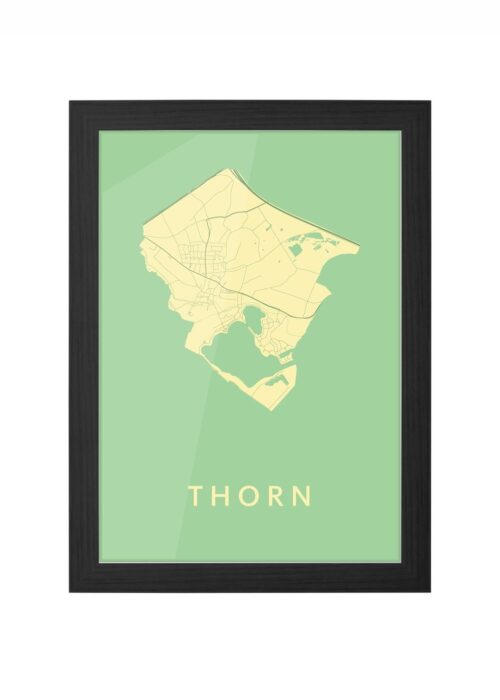 Thorn Spring Ingelijst in Zwart lijst Kopen | Kunst in Kaart