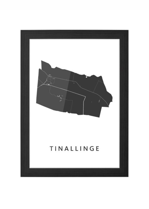 Tinallinge Ingelijst in Zwart lijst Kopen | Kunst in Kaart