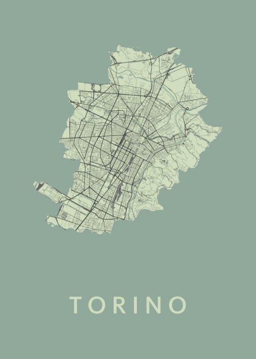Torino Olive Stadskaart Poster Kopen