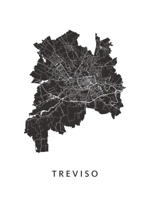 T​reviso Stadskaart Poster Kopen