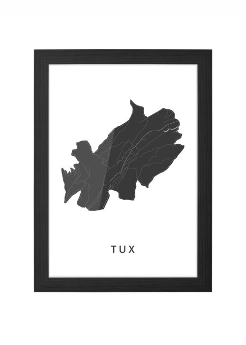 Tux Ingelijst in Zwart lijst Kopen | Kunst in Kaart