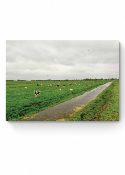 Typisch Hollands — Fotografie Poster