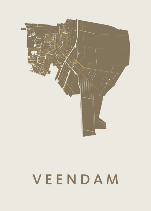 Veendam Stadskaart - Gold