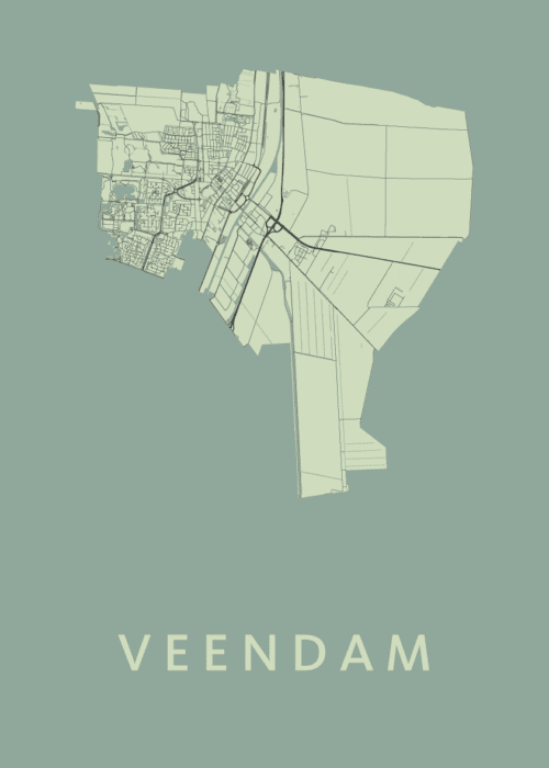 Veendam Stadskaart - Olive