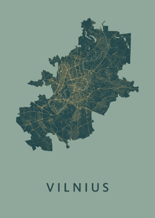 Vilnius  Amazon Stadskaart Poster Kopen