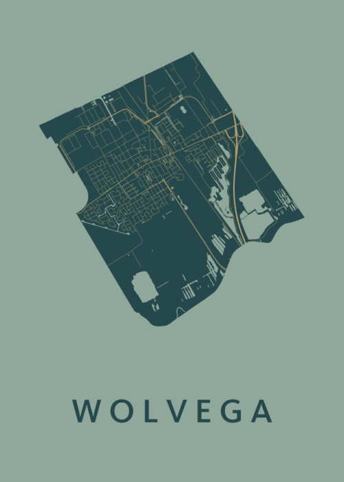 Wolvega Stadskaart poster Amazon