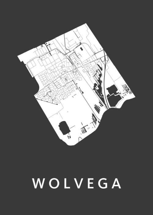 Wolvega Stadskaart poster Black