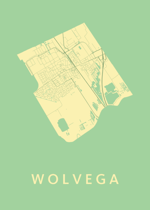 Wolvega Stadskaart poster Spring
