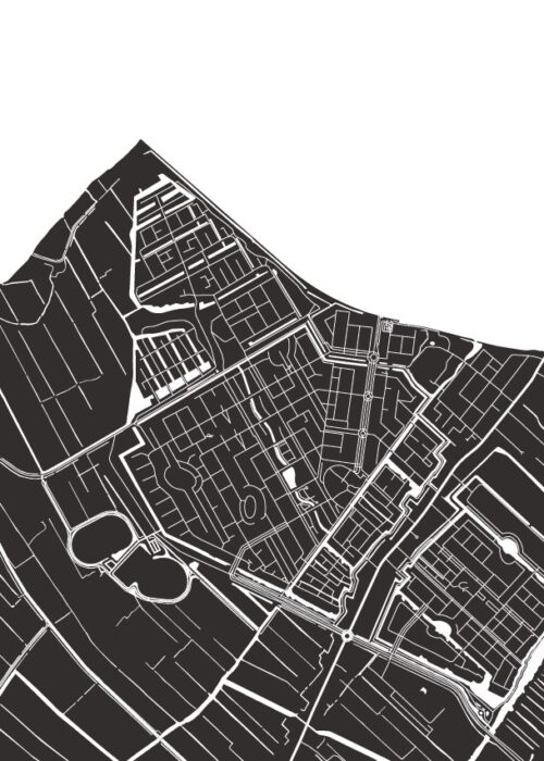 Assendelft Stadskaart Poster Kopen