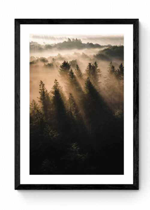 Natuur fotografie