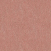 Coral Pink