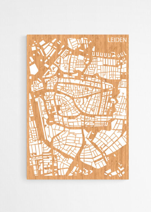 Houten Stadskaart van Leiden Bamboe
