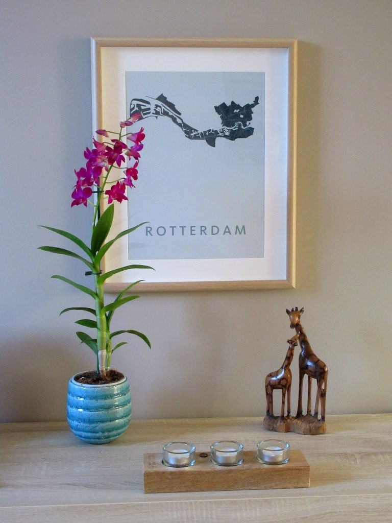 liesronddewereld